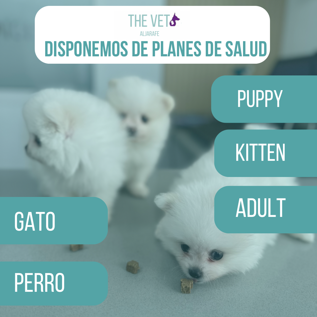Tres cachorros blancos con opciones de plan de salud: Cachorro, Gatito, Adulto, Perro y Gato.