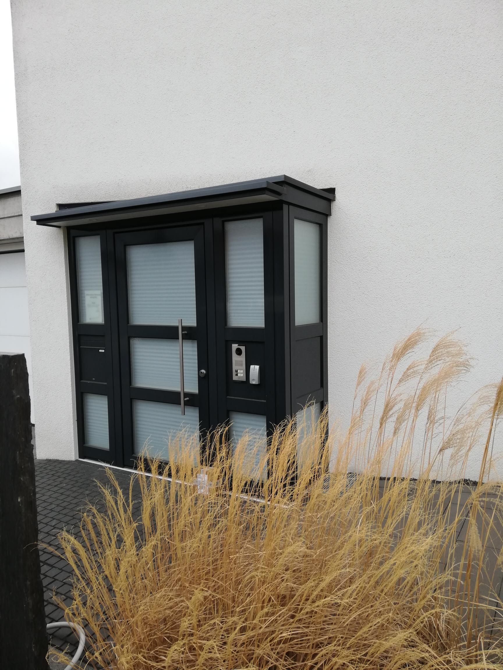 Eingangsbereich mit Glastür und Metallrahmen