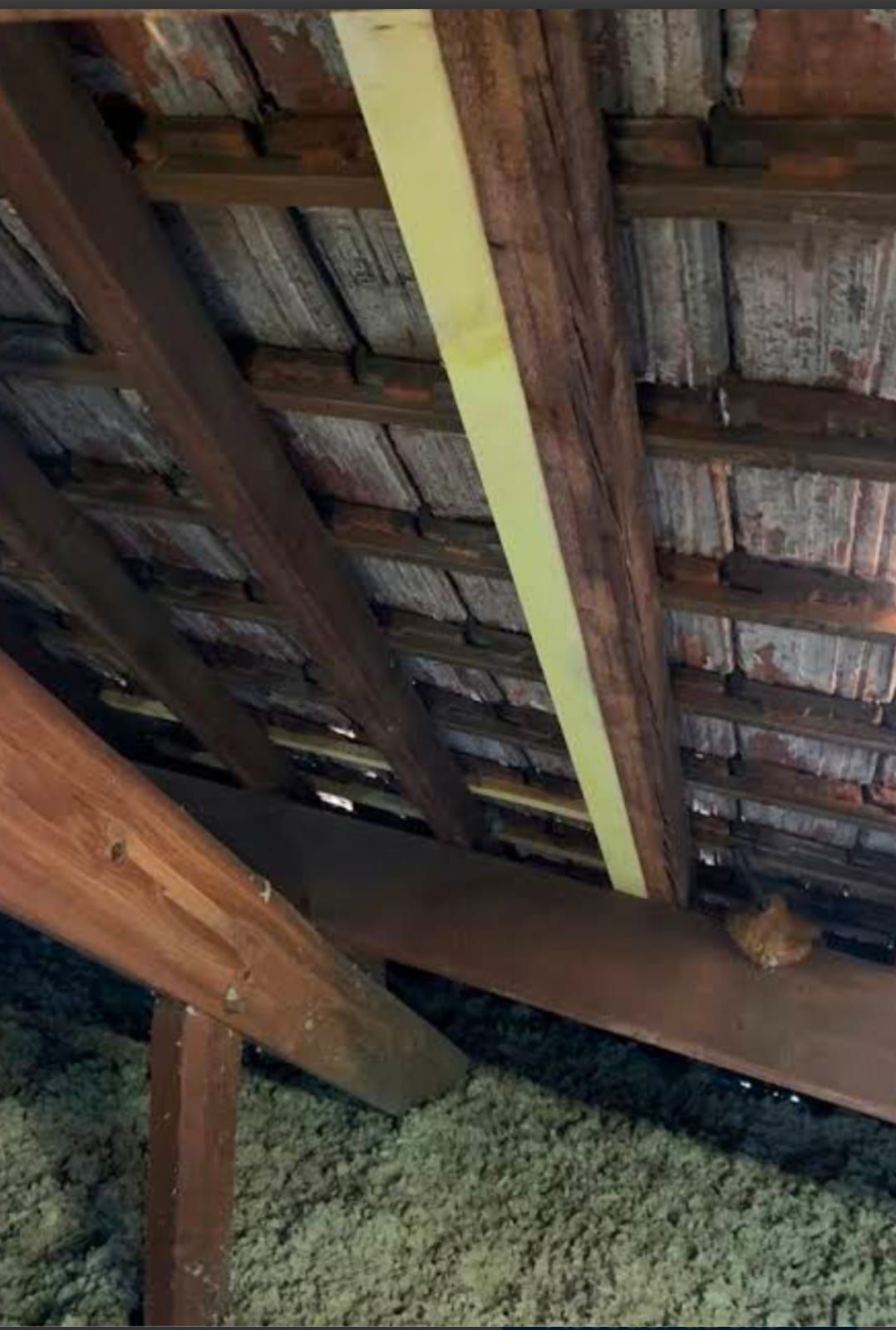 Charpente apparente en bois avec isolation et poutre de soutien jaune à l'intérieur