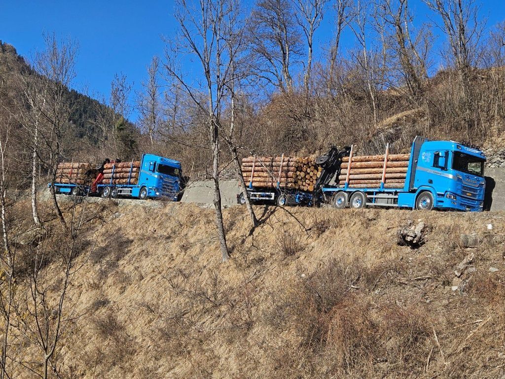 Eine Reihe blauer Lastwagen transportieren Baumstämme eine Bergstraße hinunter.