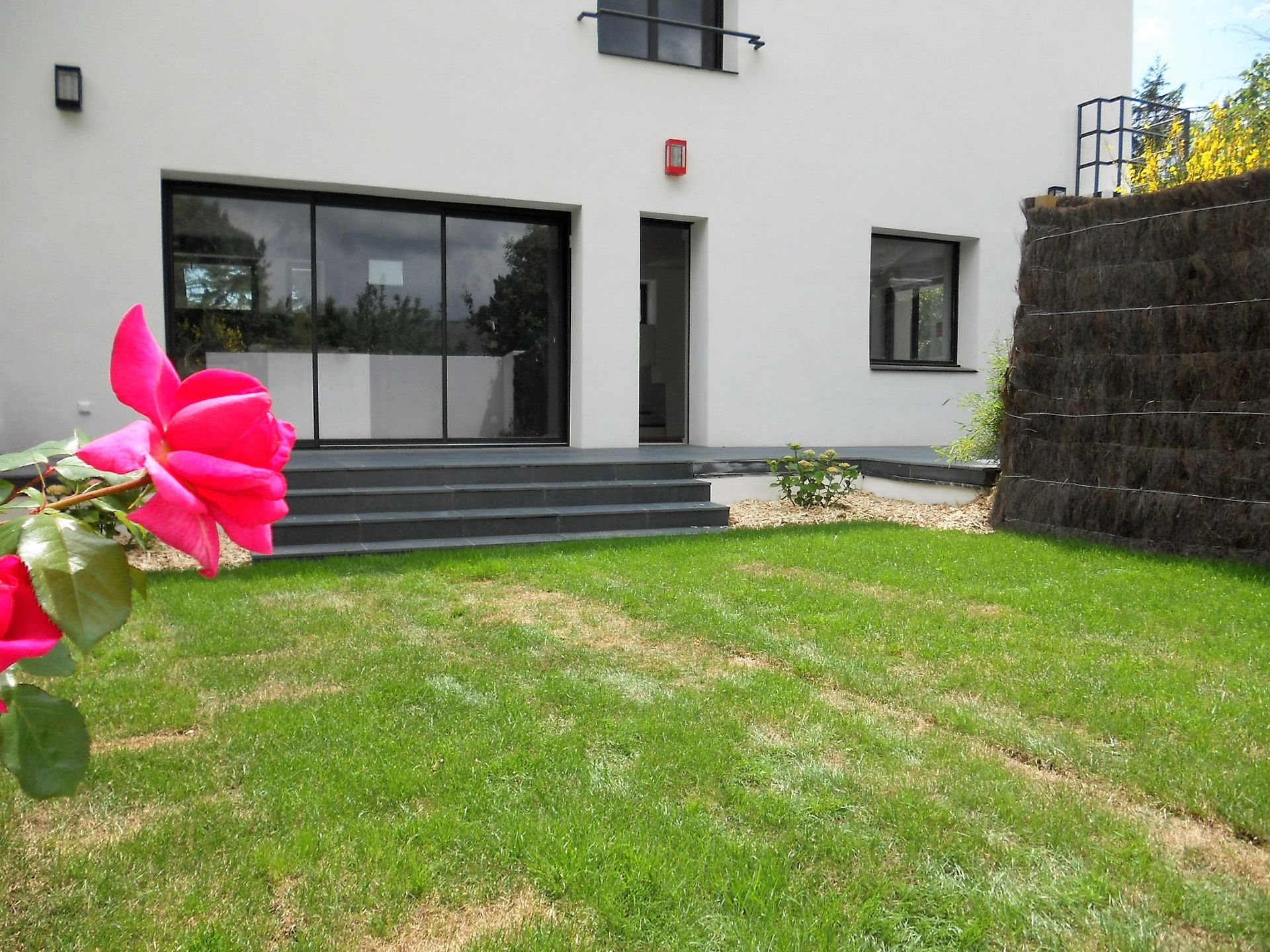 Jardin avec une fleur