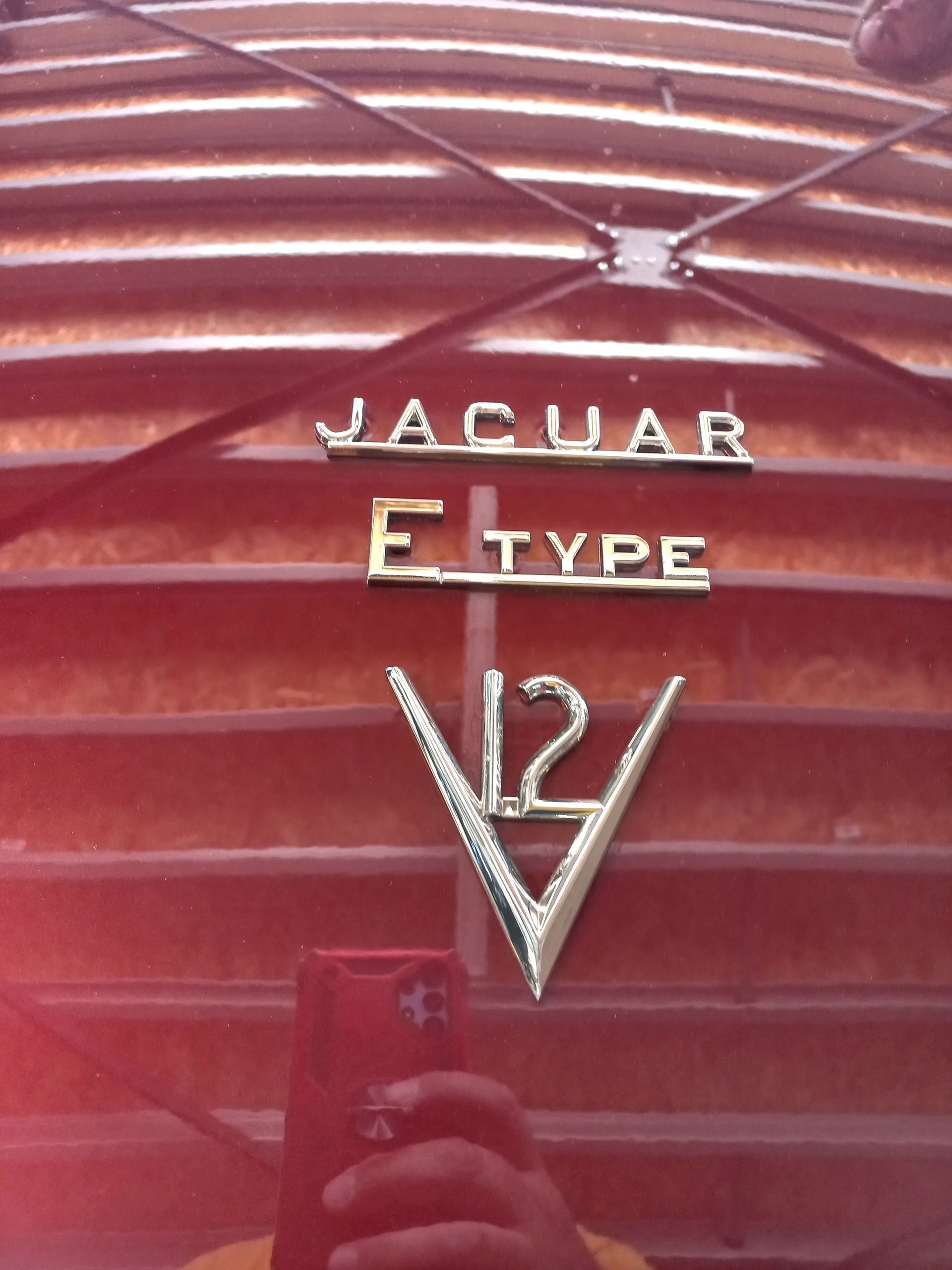 Gros plan sur l'emblème rouge du capot d'une Jaguar Type E, avec lettrage chromé et badge V12.