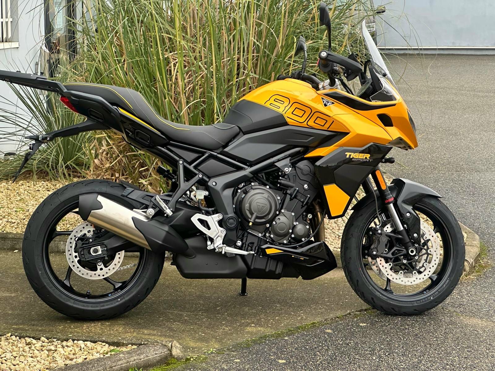 Moto sportive jaune et noire garée à l'extérieur sur le trottoir, à côté de hautes herbes.