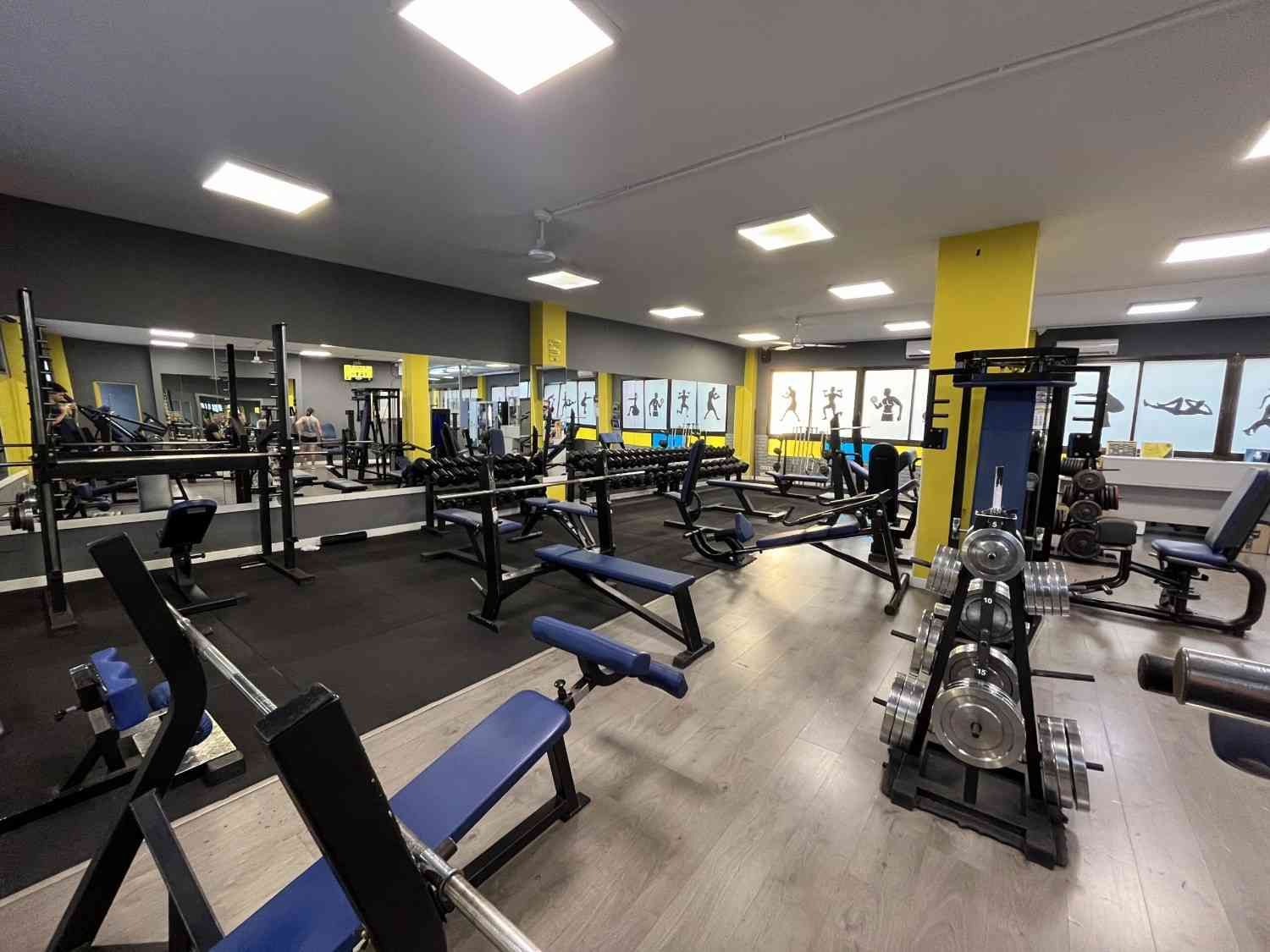 Interior de gimnasio con equipo de levantamiento de pesas. Combinación de colores negro, azul y amarillo.