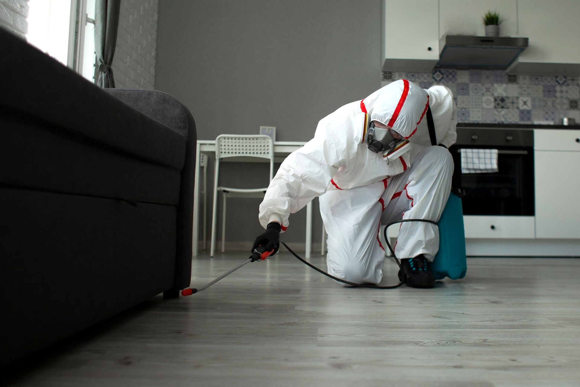 Professionnel accroupi pour pulvériser du produit sous un canapé