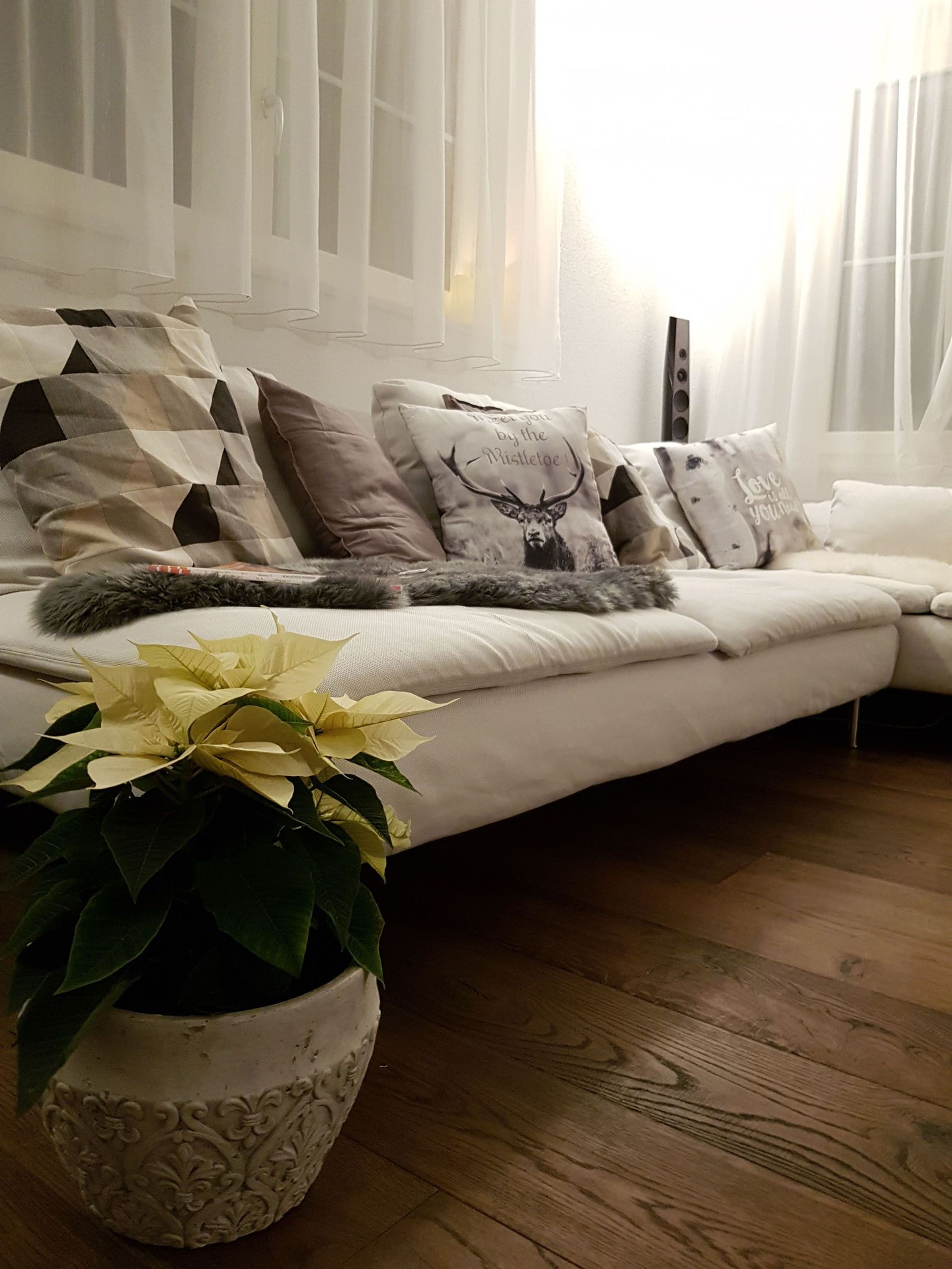 Inneneinrichtung | Seiler Immobilien AG | Hauskauf, Wohnungskauf, Wohnung mieten | Aesch, Kanton Luzern