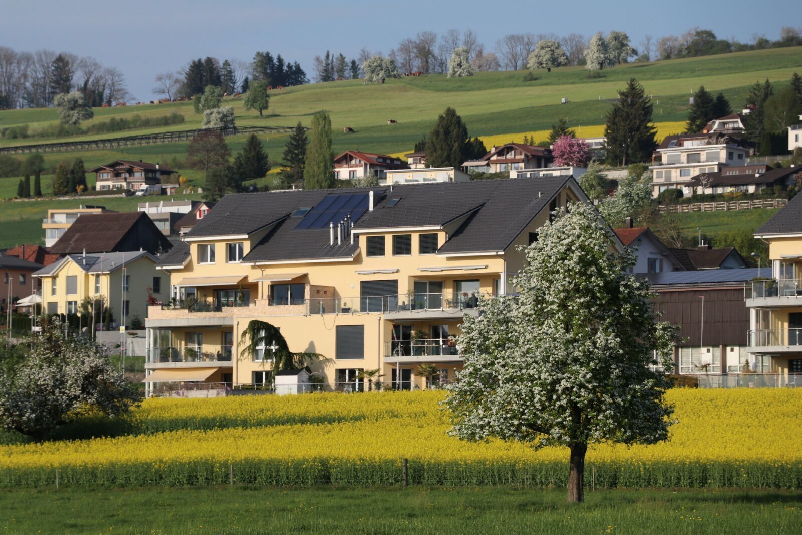 4.5 Zi. WHG in Aesch 2014