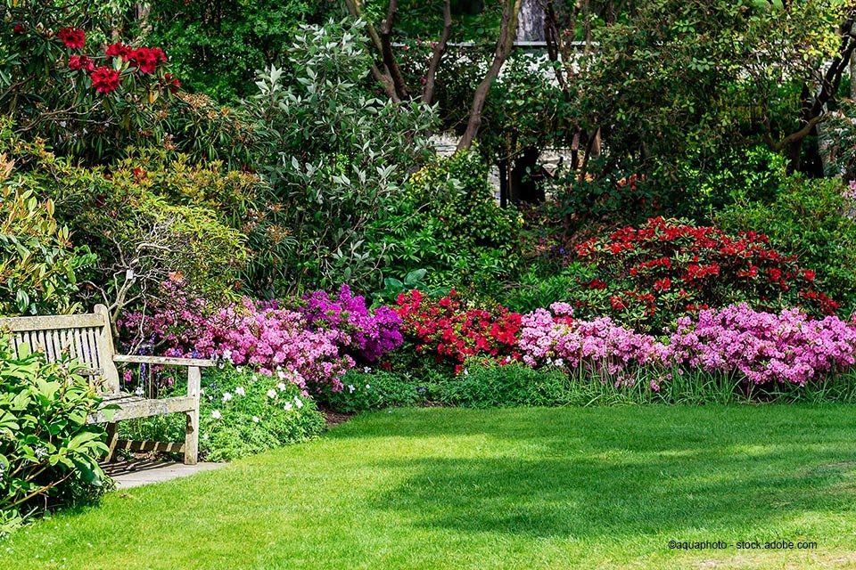 Blumen in einem Garten