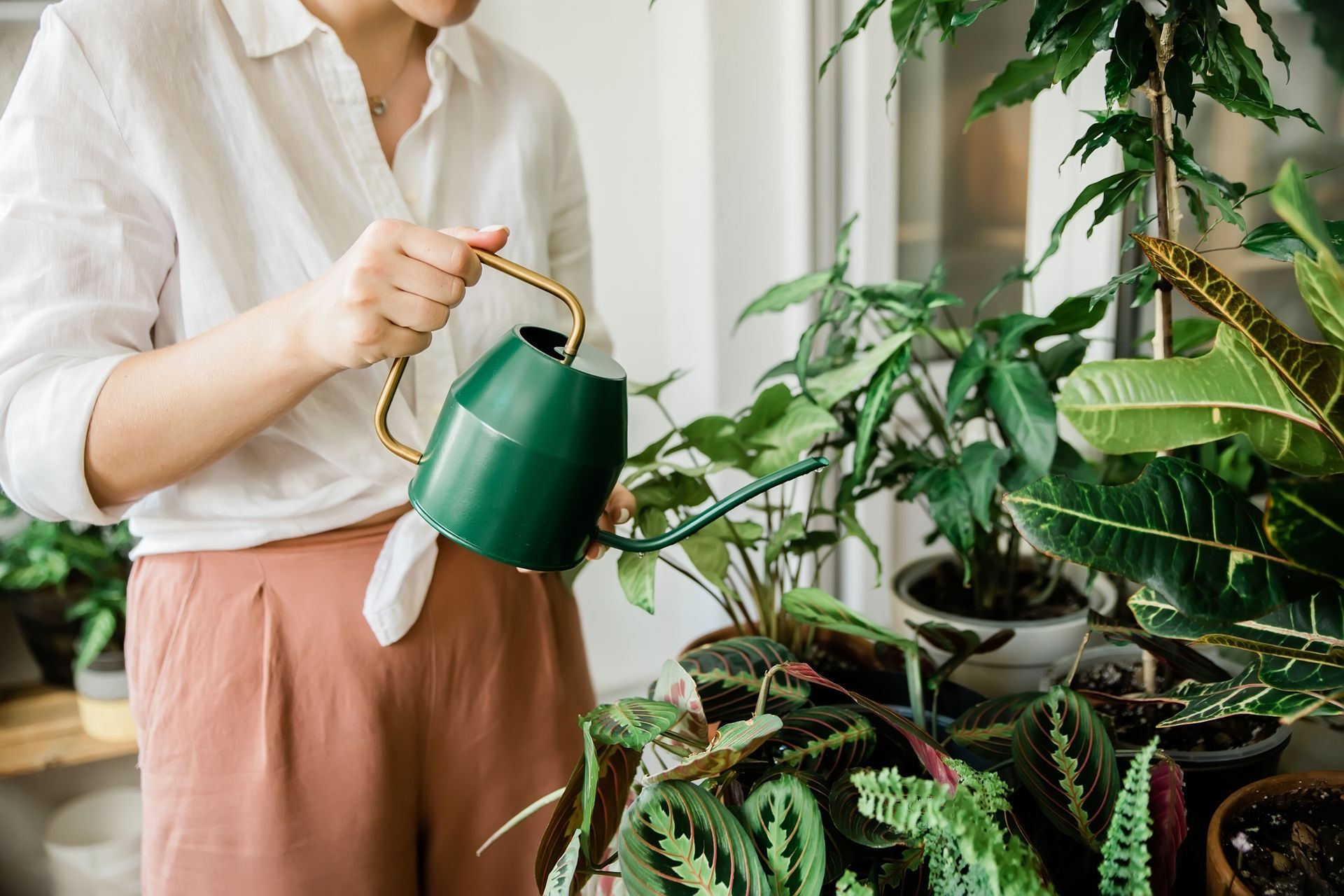 Une personne arrose des plantes d'intérieur avec un arrosoir vert.