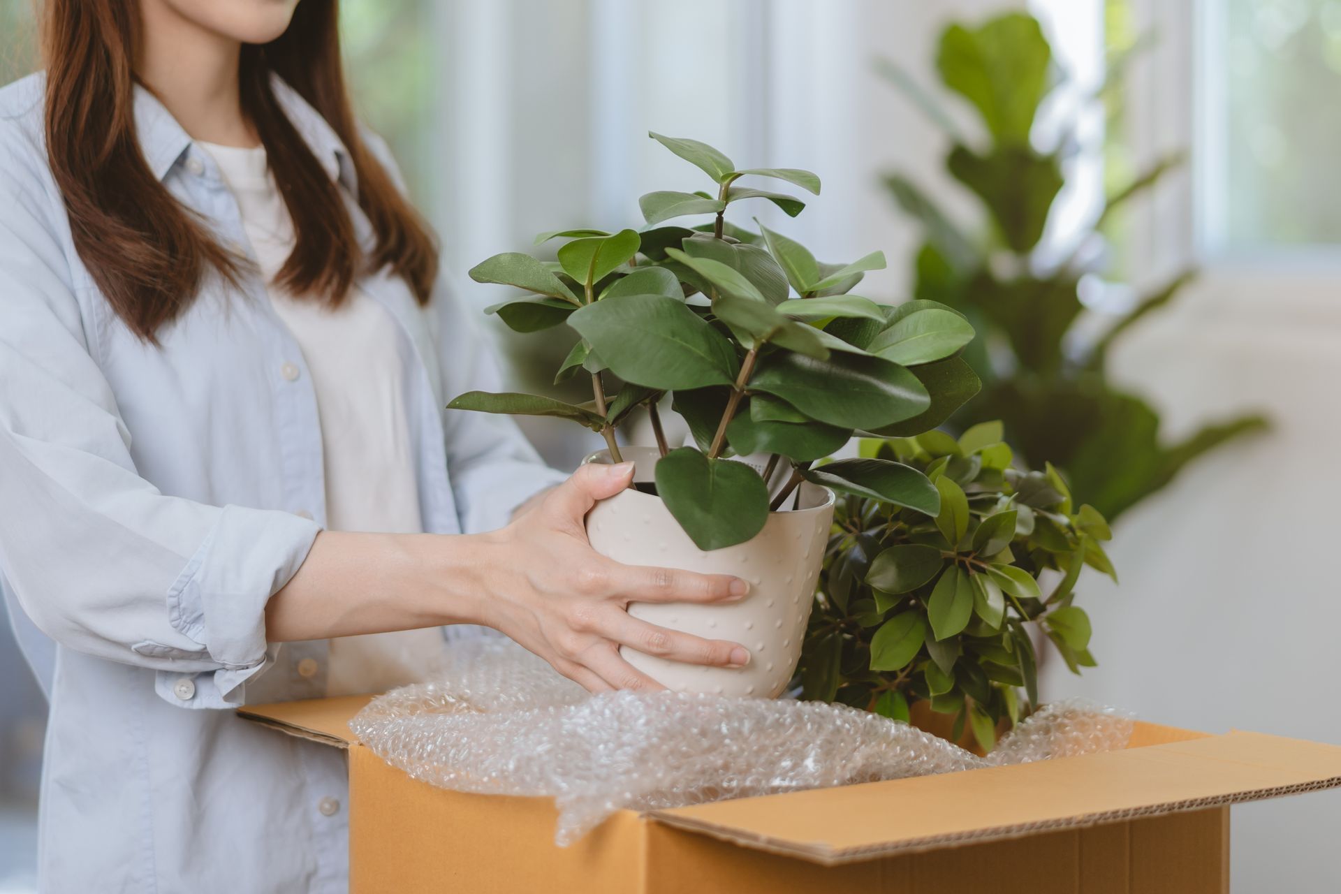 Une femme place une plante en pot dans un carton recouvert de papier bulle, en prévision d'un déménagement.