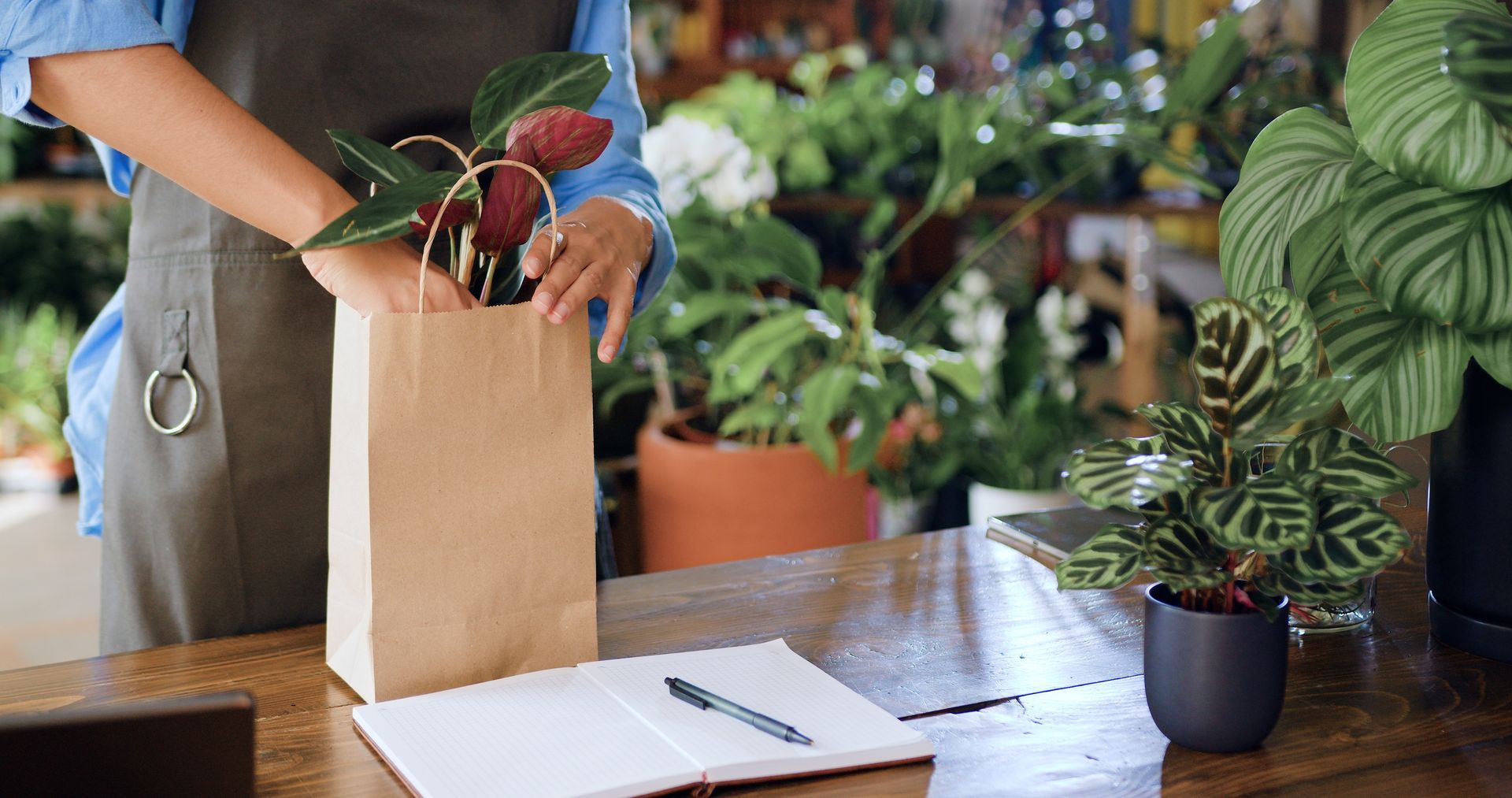 Une personne portant un tablier place une plante en pot dans un sac en papier brun au comptoir d'un fleuriste.