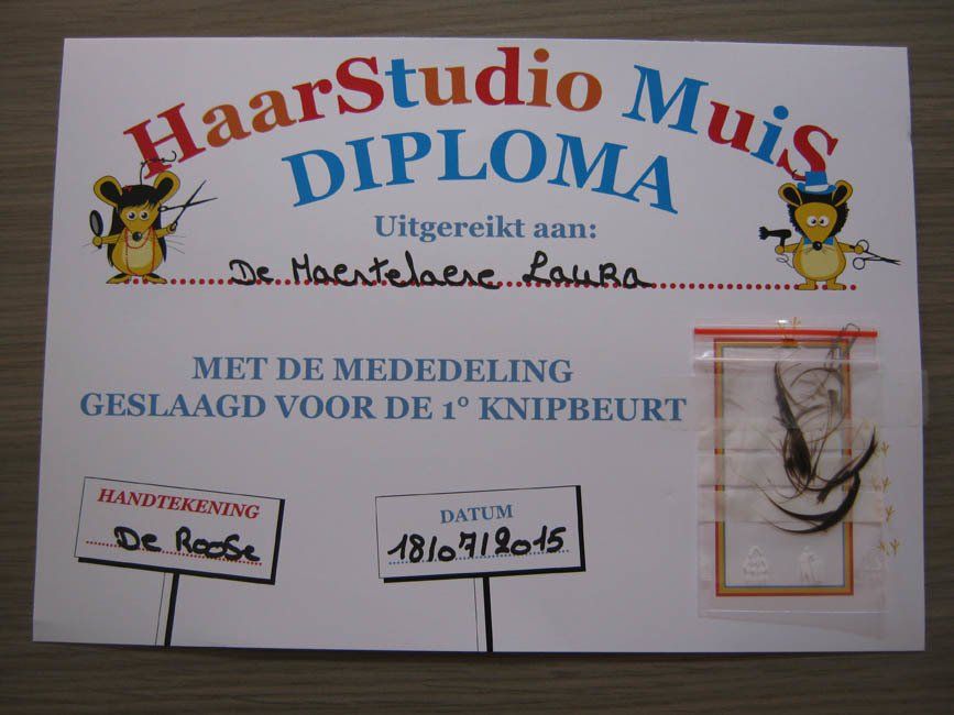 Haarstudio Muis diploma