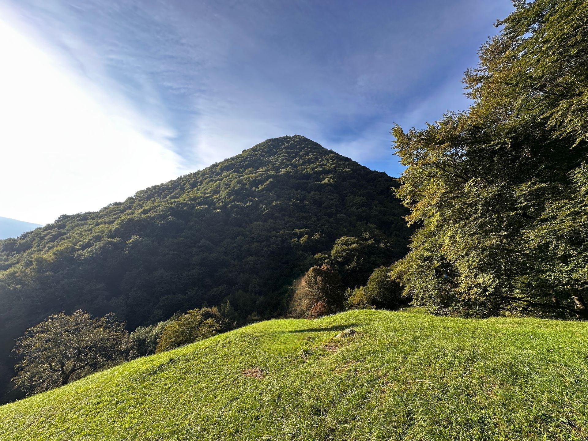 ABBRACCIA LA TUA NATURA di Cristina Calderari - Mendrisio - passeggiata in natura