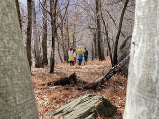 ABBRACCIA LA TUA NATURA di Cristina Calderari - Mendrisio - passeggiata in natura