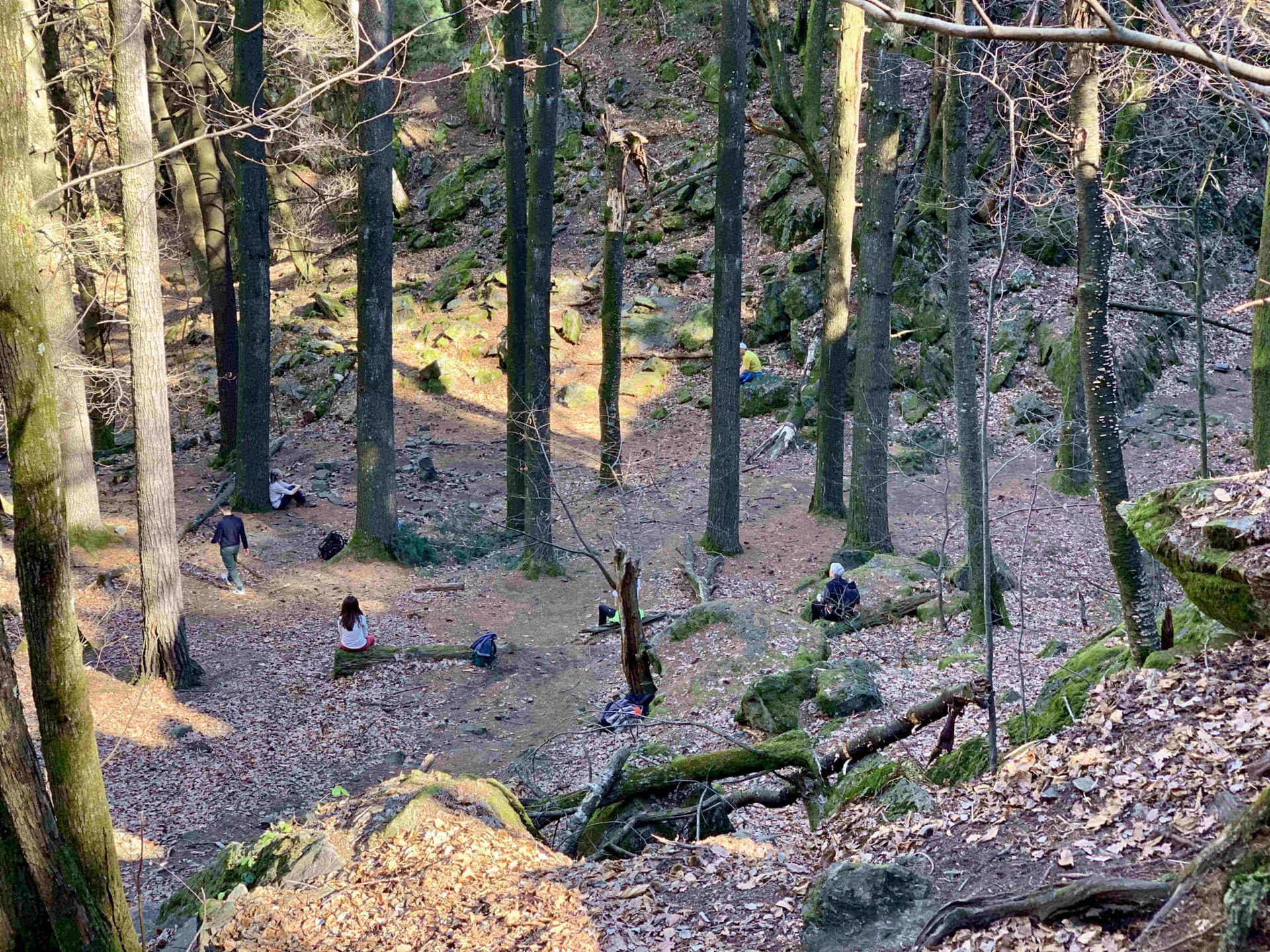 ABBRACCIA LA TUA NATURA di Cristina Calderari - Mendrisio - valle del silenzio
