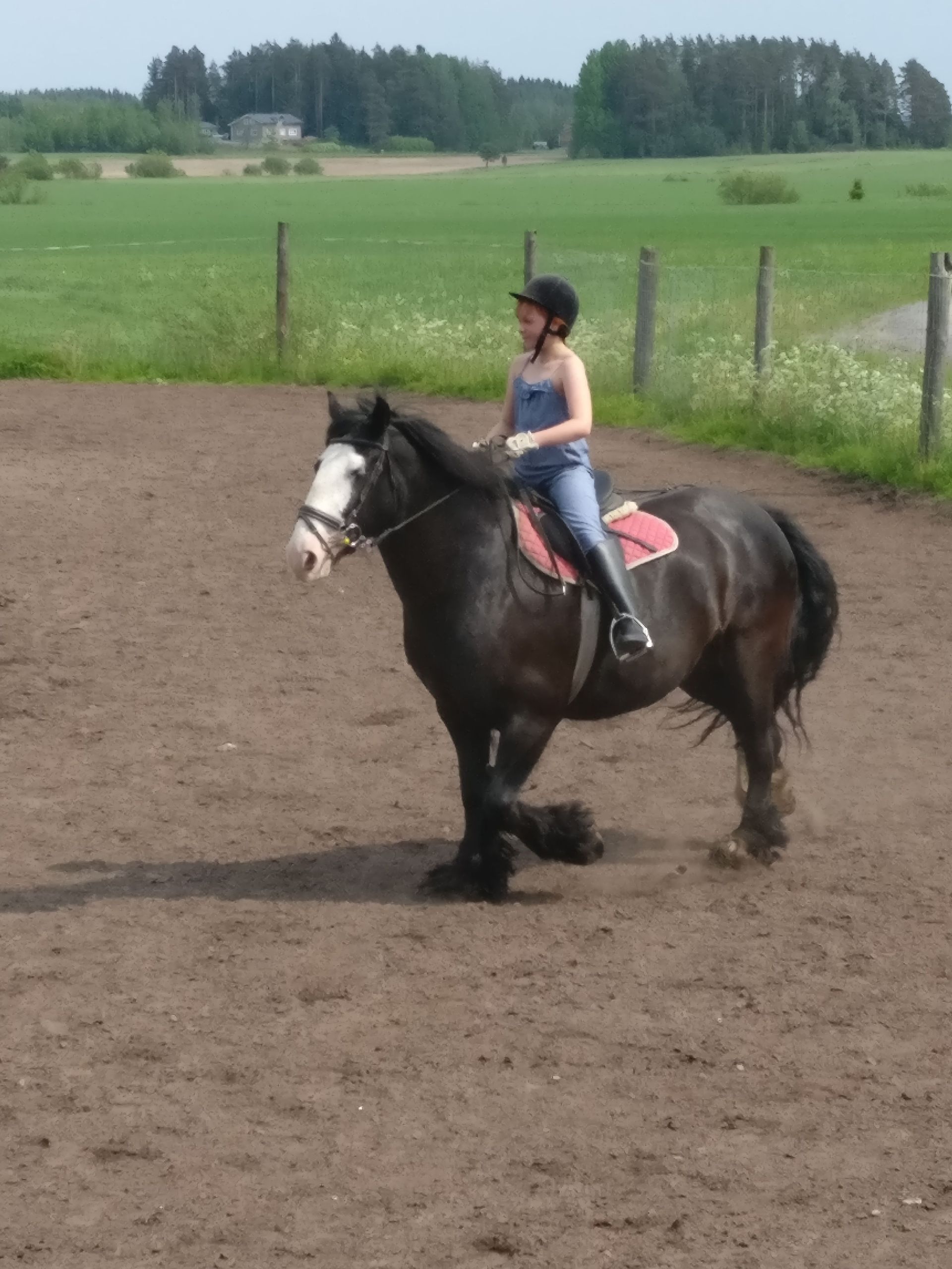 Musiikkikoulu Ainola Talvio Ky