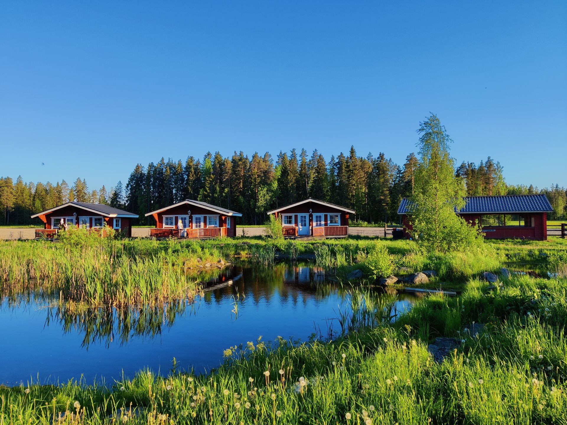 Musiikkikoulu Ainola Talvio Ky