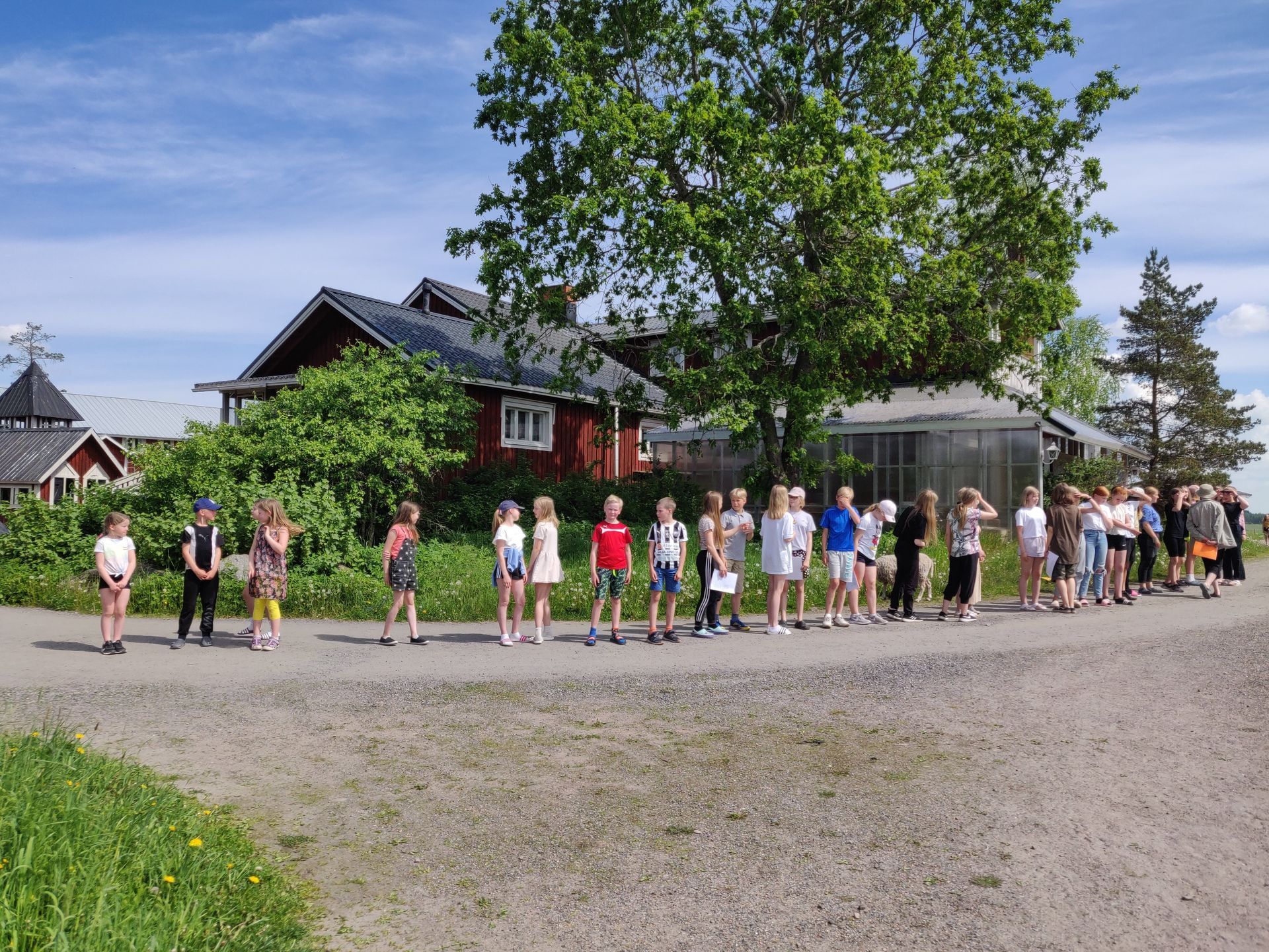 Musiikkikoulu Ainola Talvio Ky