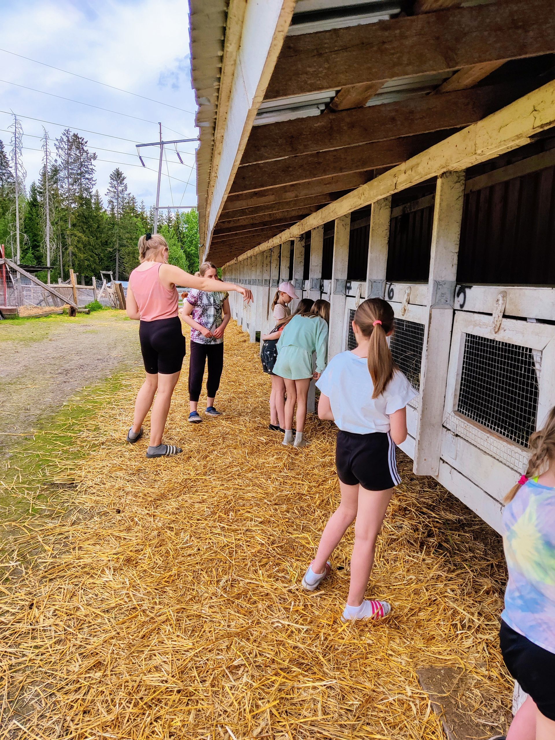 Musiikkikoulu Ainola Talvio Ky