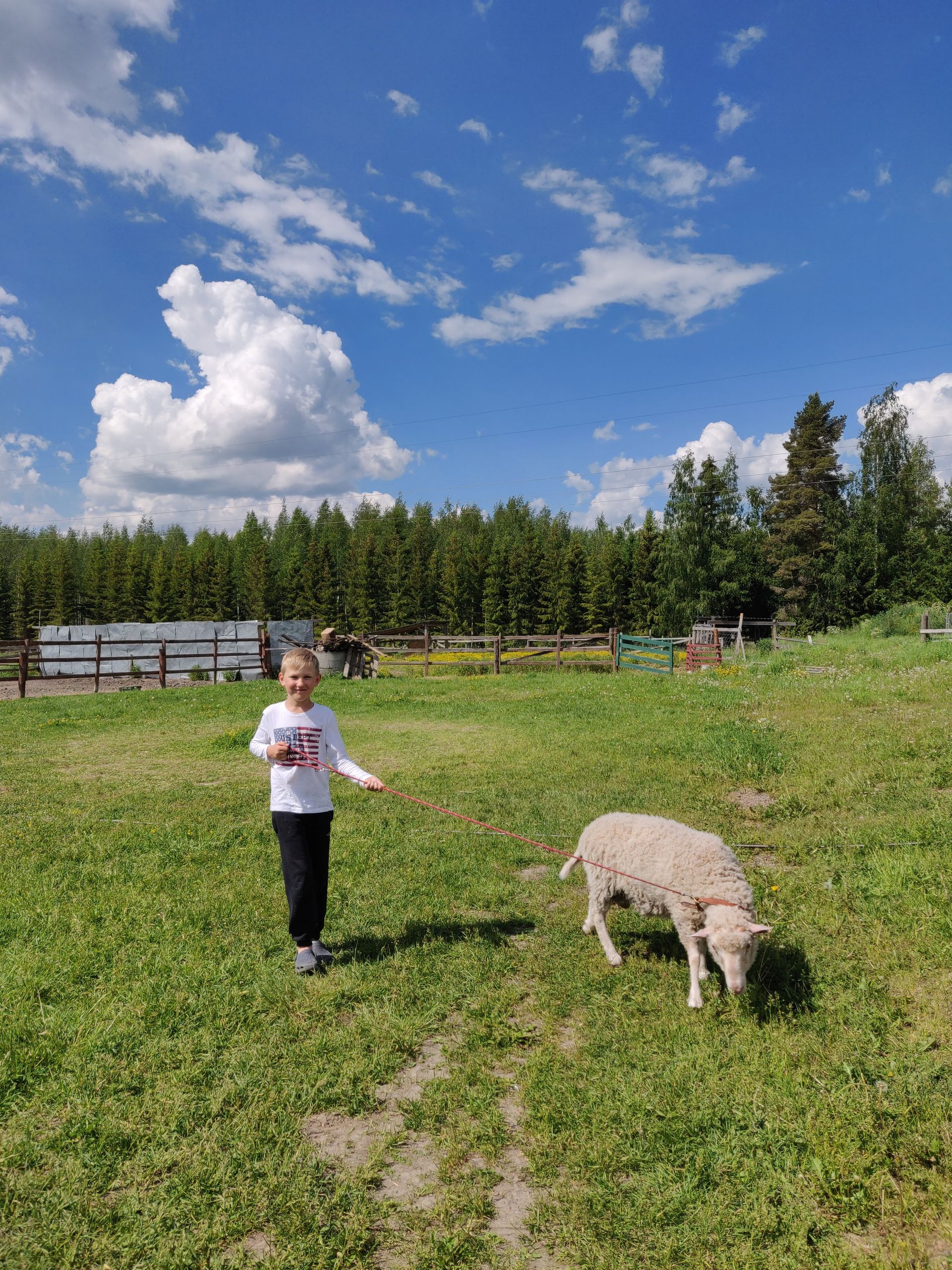 Musiikkikoulu Ainola Talvio Ky