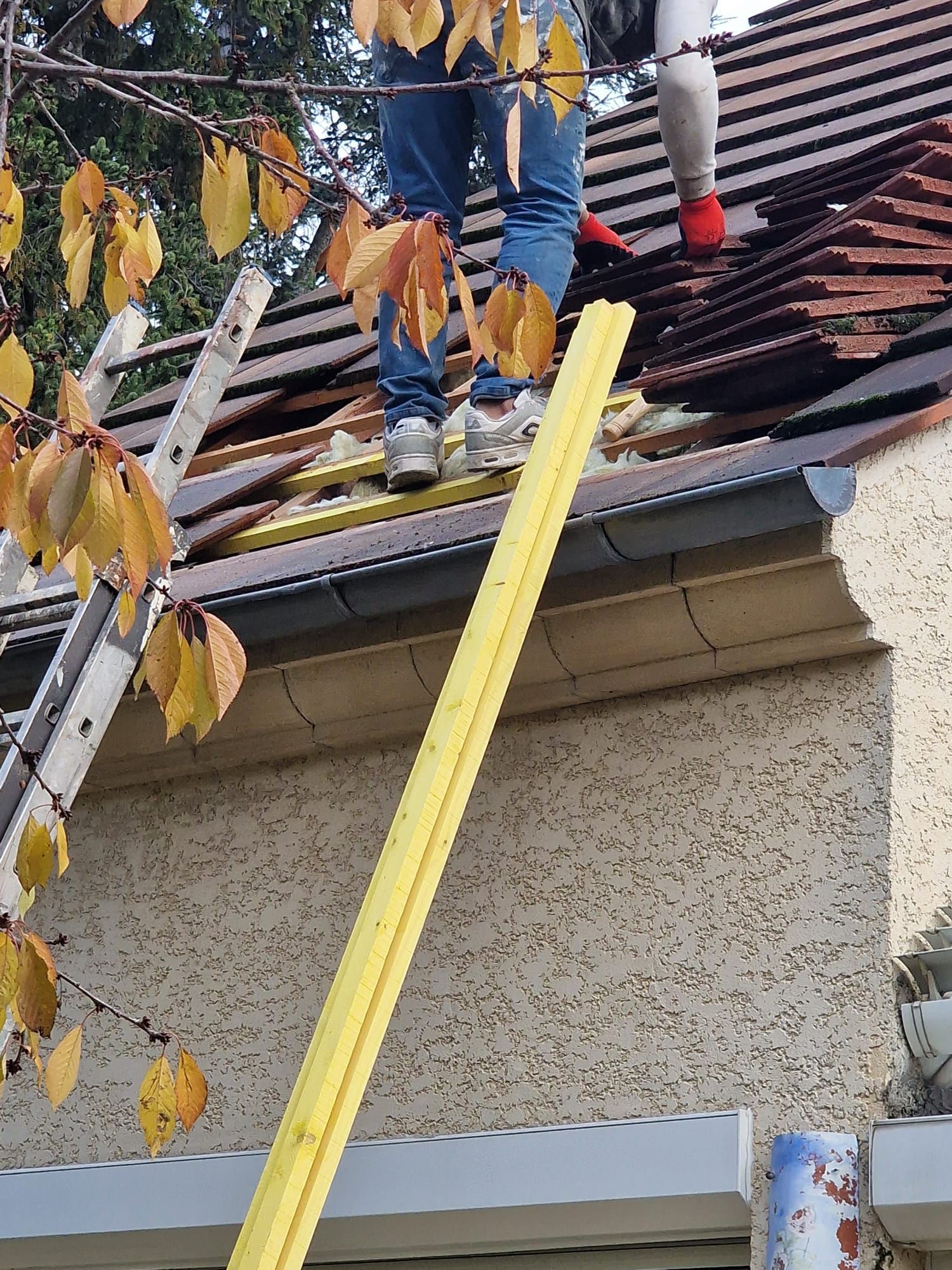 Charpente de toiture