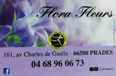 Logo de Flora Fleurs