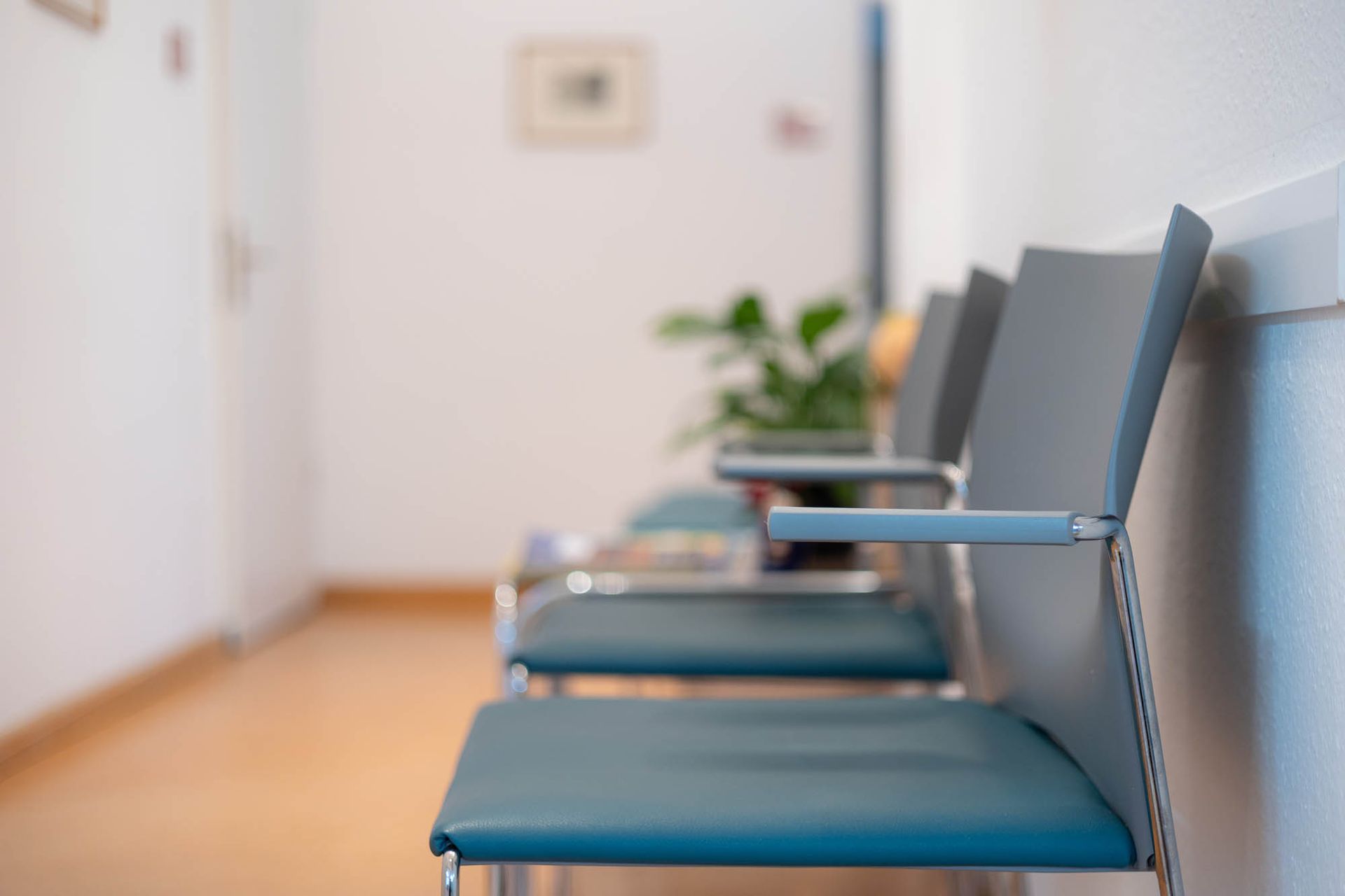 Eine Stuhlreihe in einem Wartezimmer mit einer Pflanze im Hintergrund.