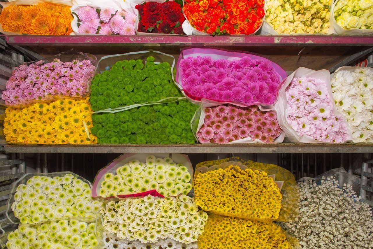 Heinzelmann Frischblume GmbH