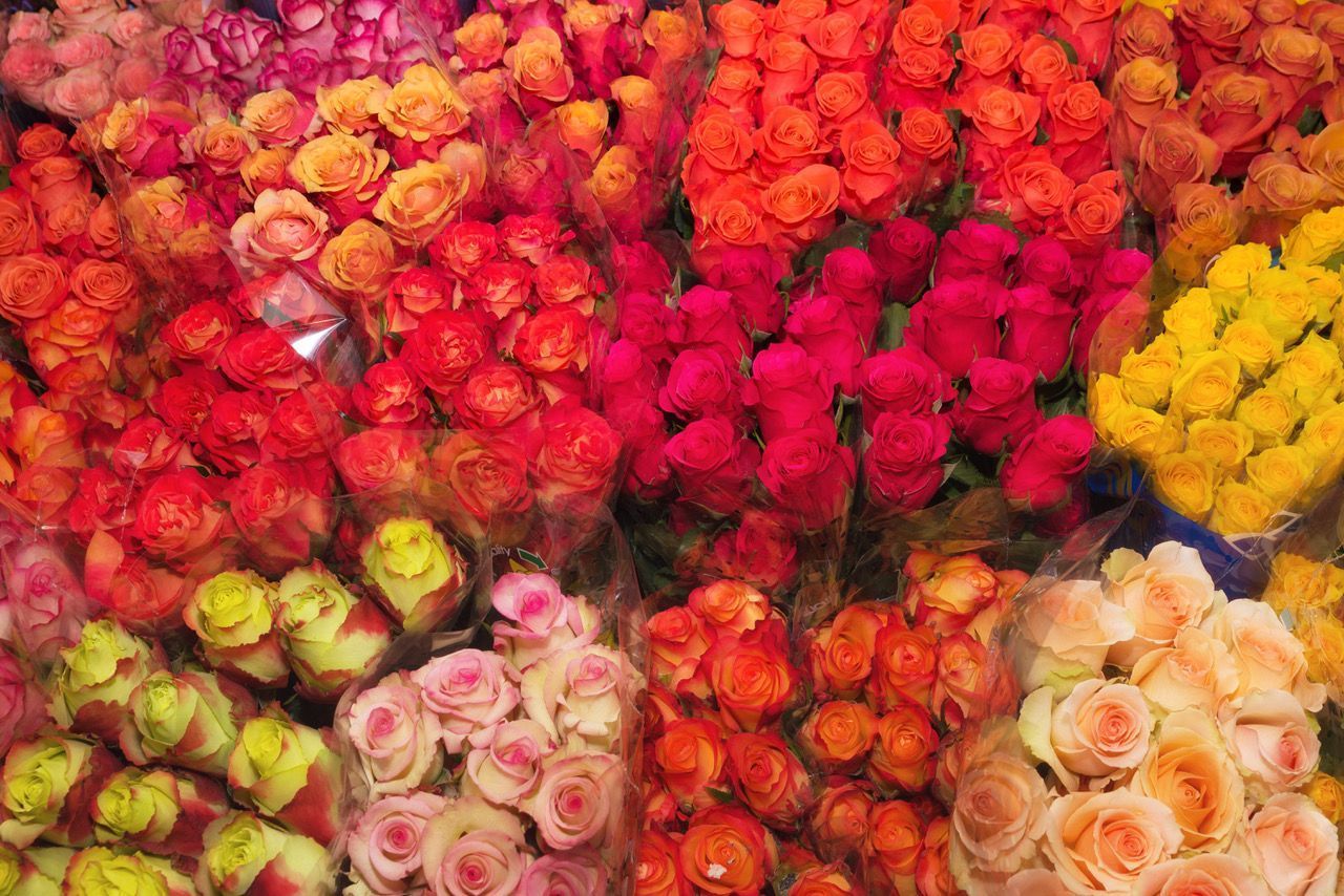 Heinzelmann Frischblume GmbH