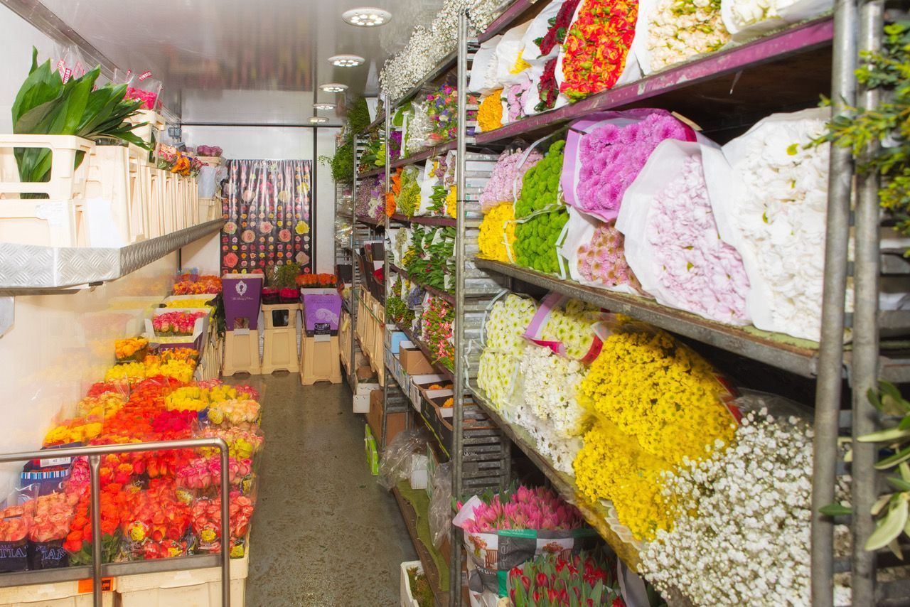 Heinzelmann Frischblume GmbH