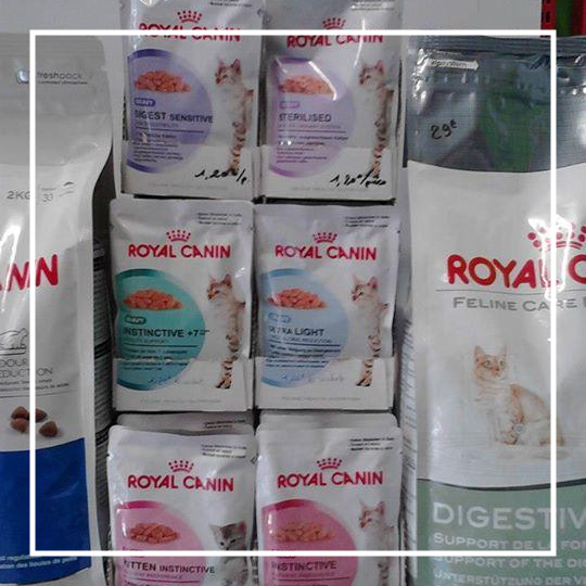 Croquettes Royal Canin pour chats