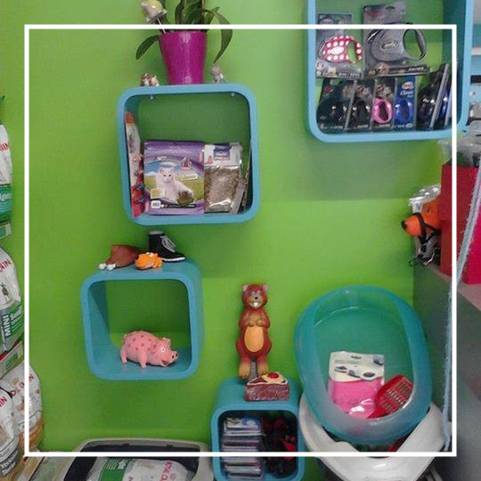 Jouets et caisses