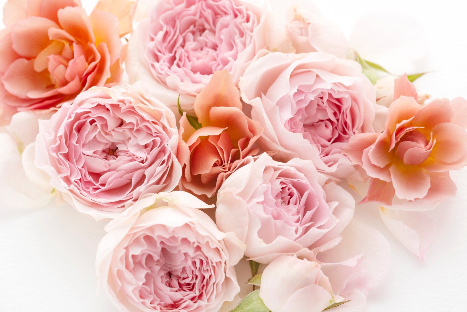 Bouquet de roses différentes couleurs