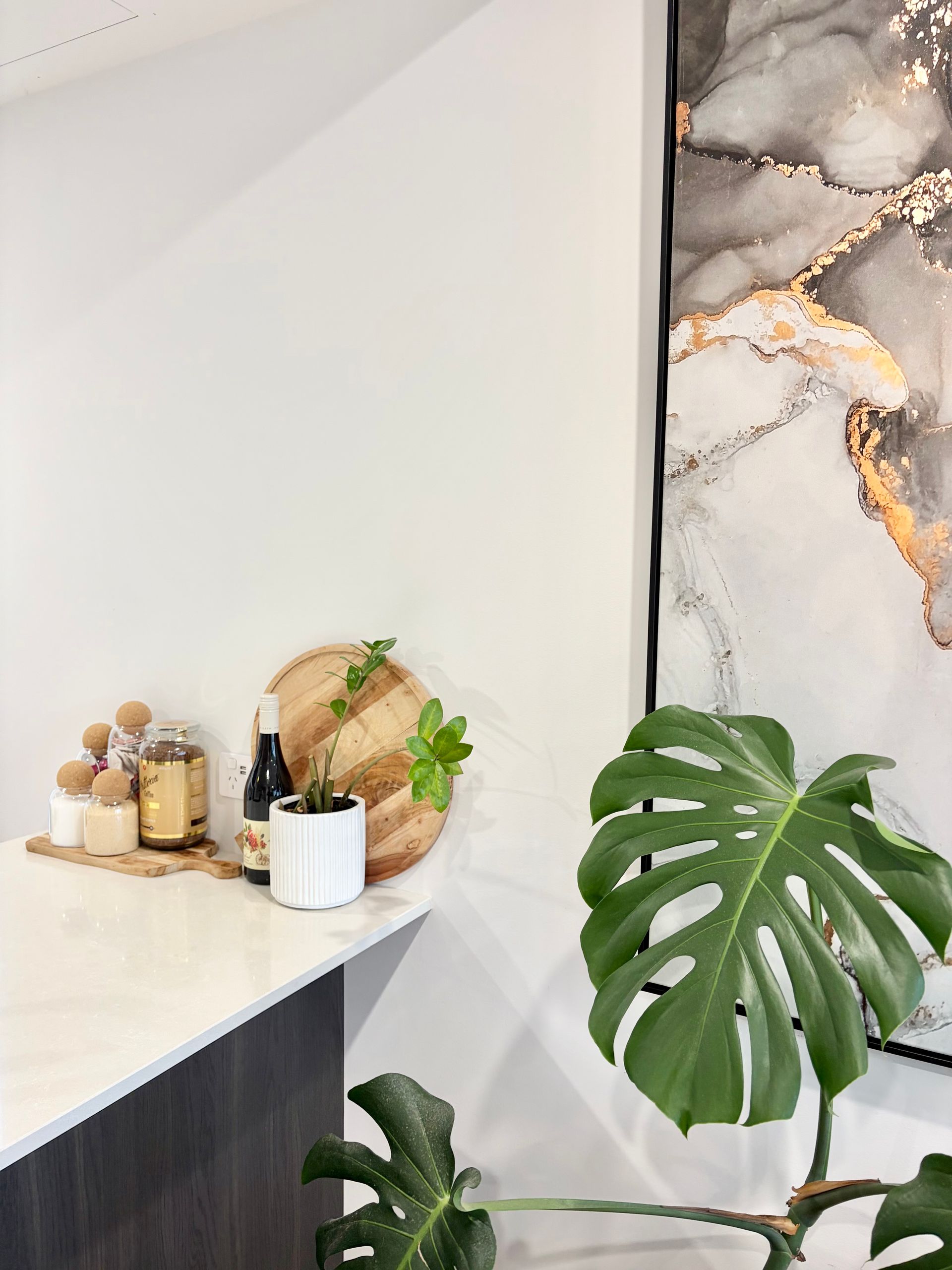 A corner of a room featuring a monstera plant in the foreground next to a counter with kitchen items and abstract wall art.