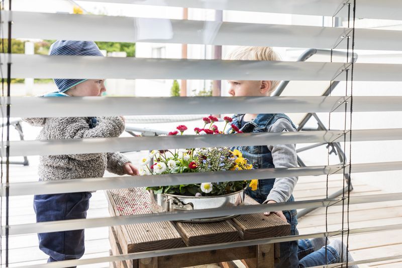 Zwei Kinder betrachten Blumen auf einem Tisch, die durch weiße Jalousien zu sehen sind.