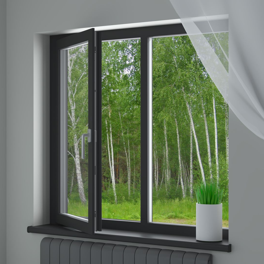 Fenêtre au panneau gauche ouvert, offrant une vue sur une forêt de bouleaux ; un pot contenant de l'herbe est posé.