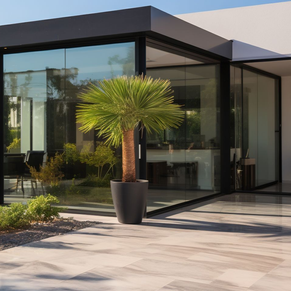 Un palmier dans un grand pot noir se trouve sur une terrasse en pierre à l'extérieur d'une maison moderne aux murs de verre.