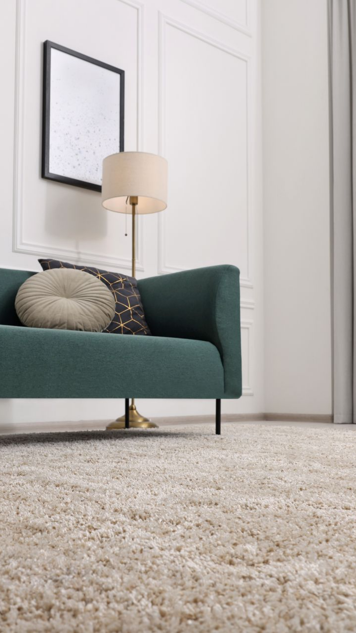 Canapé bleu canard avec coussins décoratifs, lampadaire et œuvre d'art encadrée sur un mur blanc ; tapis beige.