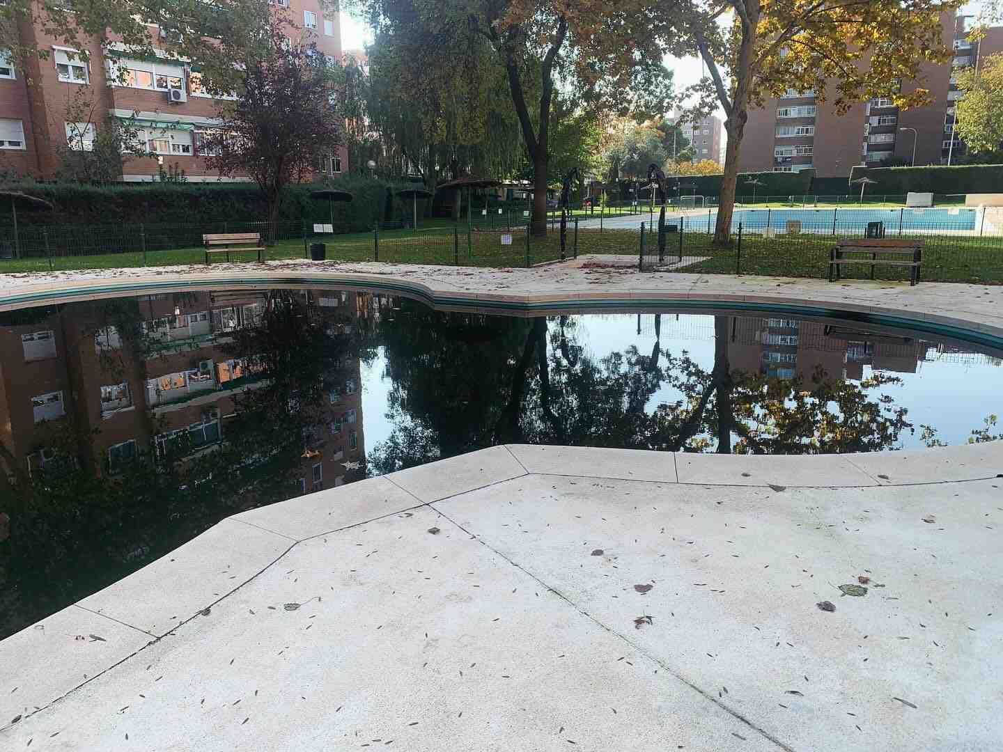 Estanque junto a un paseo de hormigón en un parque, con árboles y edificios de apartamentos reflejados en el agua.