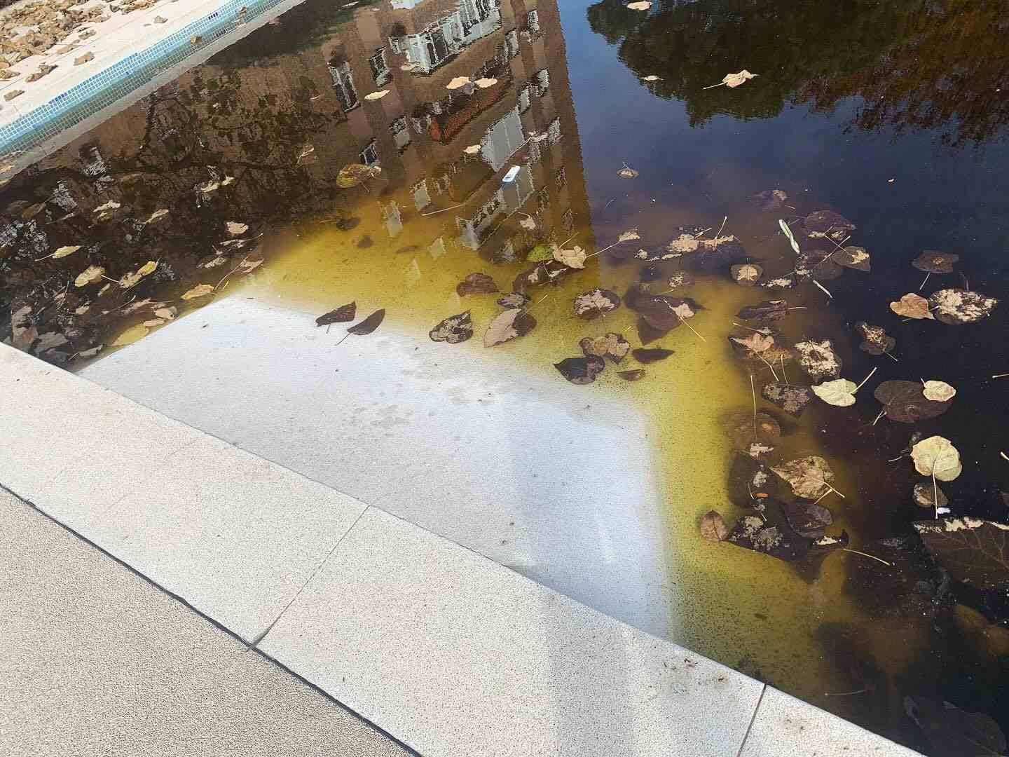 Acera urbana junto a un bordillo inundado con hojas y escombros flotando en agua marrón.