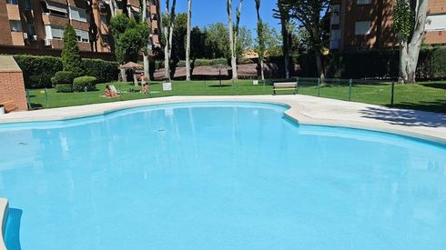 Piscina azul rodeada de palmeras y césped en un día soleado.
