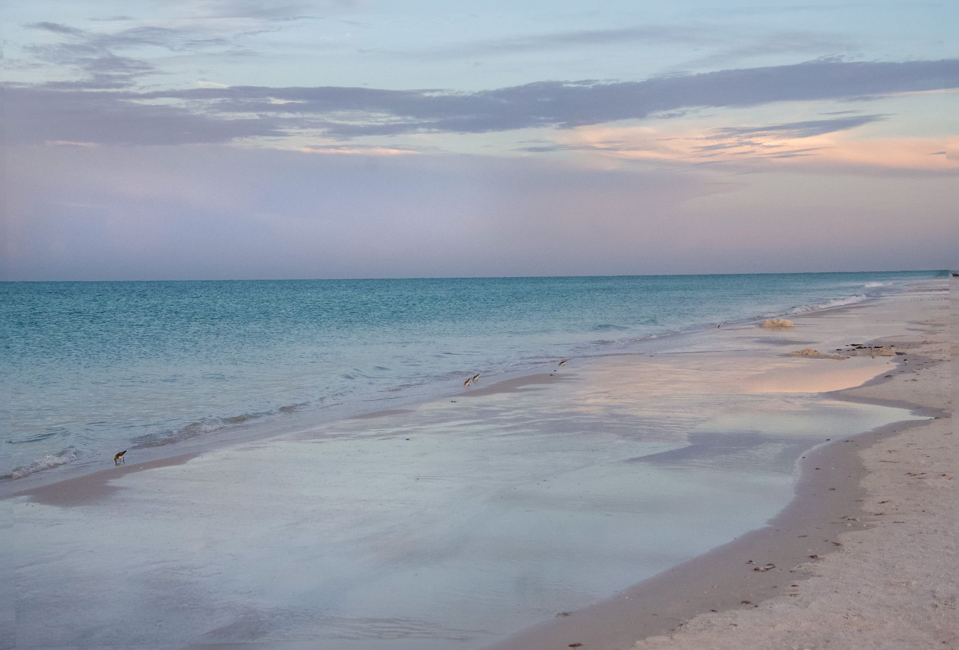 Powdery white quartz sand of Siesta Key
