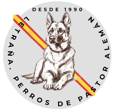 PERROS DE PASTOR ALEMÁN