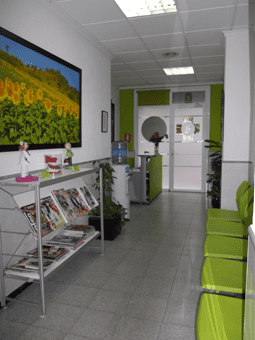 Sala de espera luminosa con sillas verdes, revistero, obras de arte en las paredes y un mostrador de recepción al fondo.
