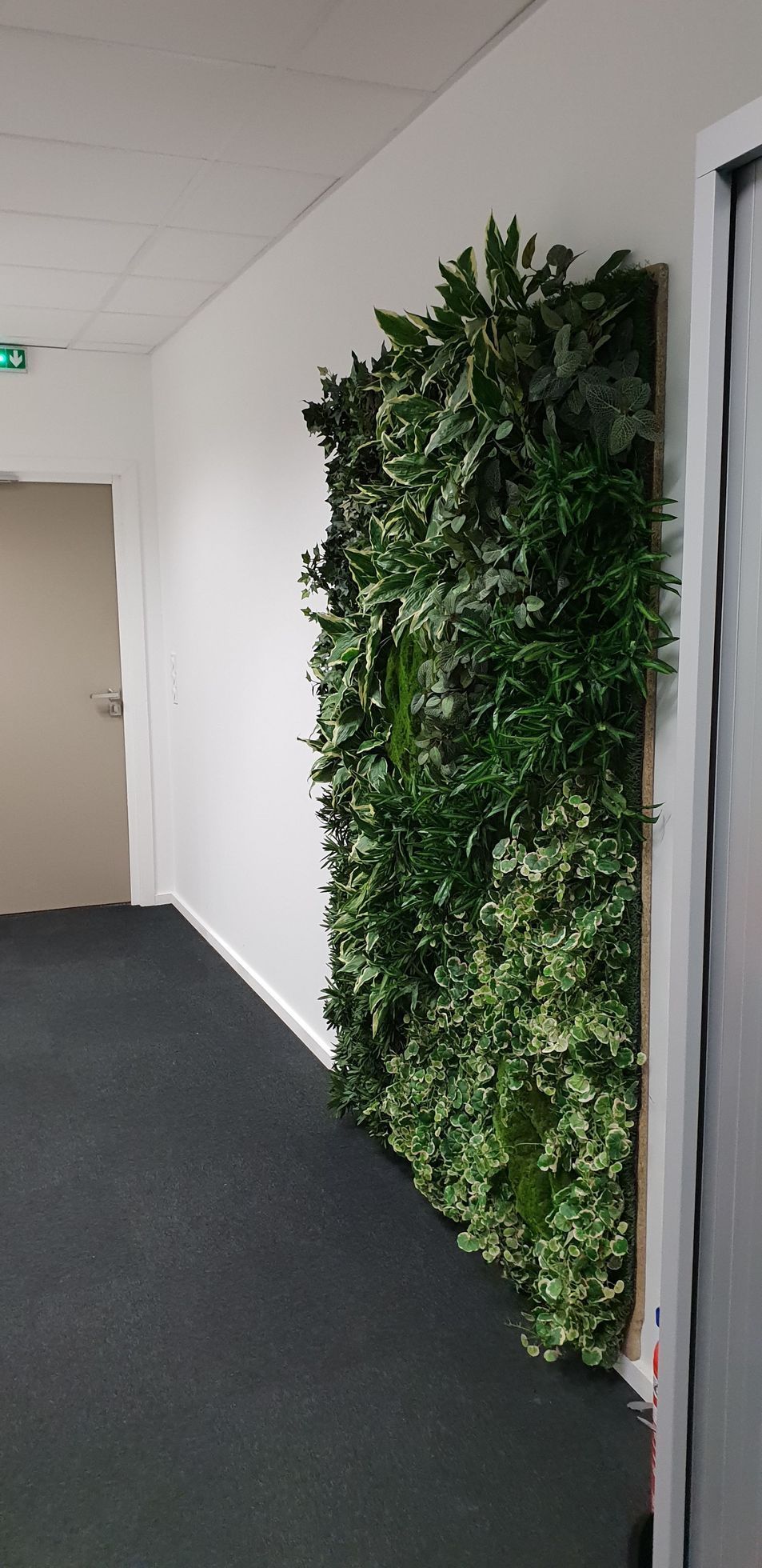 Mur vitré dans une entreprise