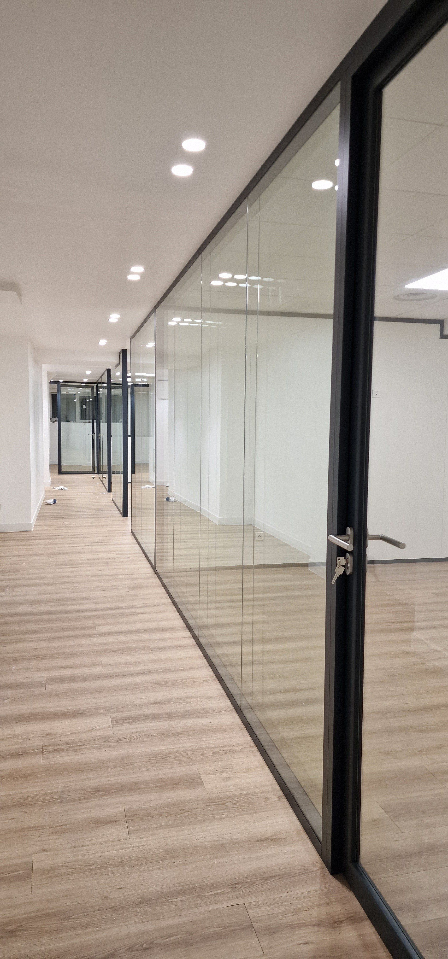 Porte en cadre aluminium et cloison vitrée en bord à bord