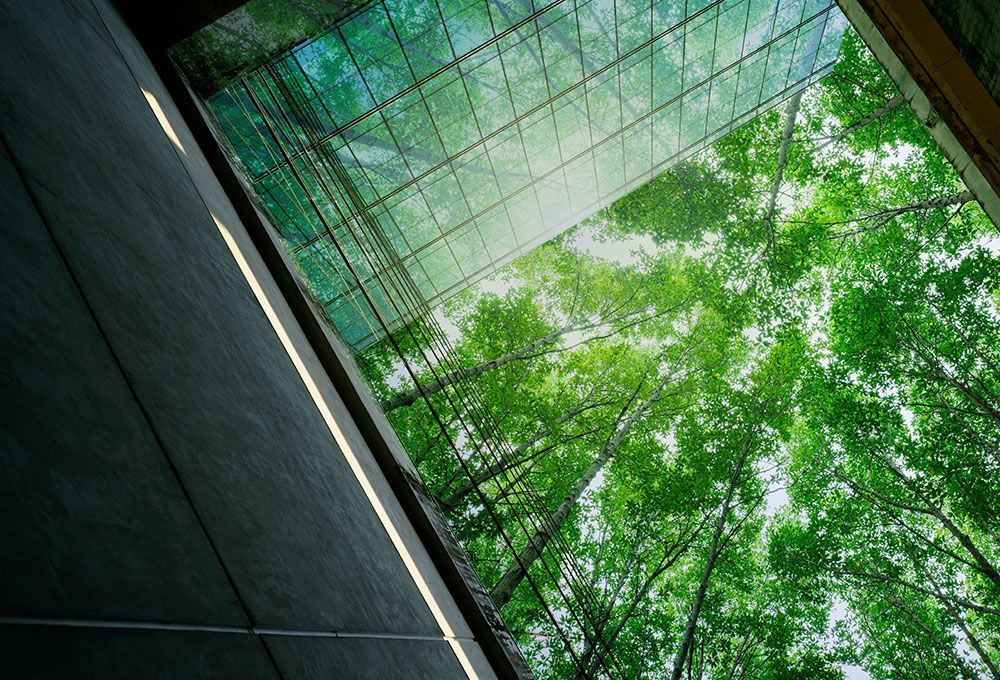 Un grand immeuble en verre avec des arbres