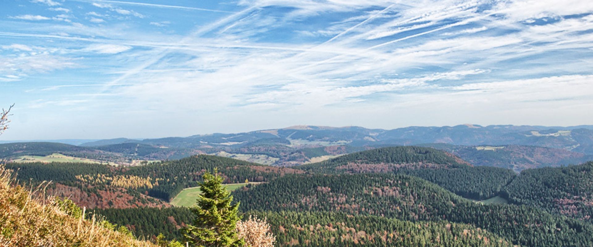 Ein Blick auf die Berge und Wälder von einem Hügel | Hotel-Restaurant SchöpPerle