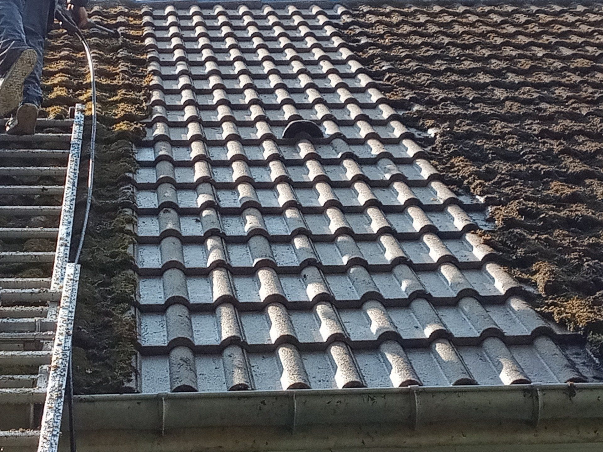 démoussage de toiture