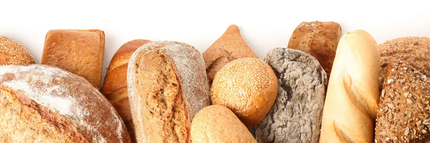 Una variedad de panes artesanales, incluyendo hogazas, panecillos y una baguette, dispuestos en fila sobre un fondo blanco.